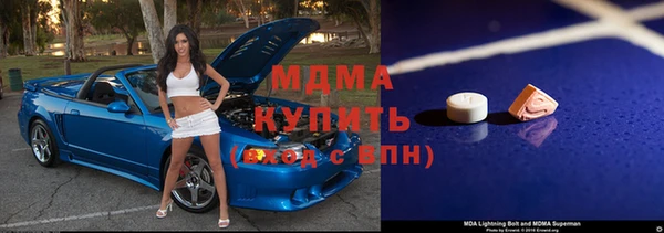 прущие грибы Бородино