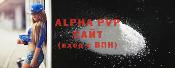 прущие грибы Бородино