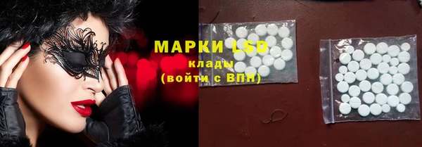 прущие грибы Бородино