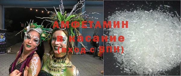 прущие грибы Бородино