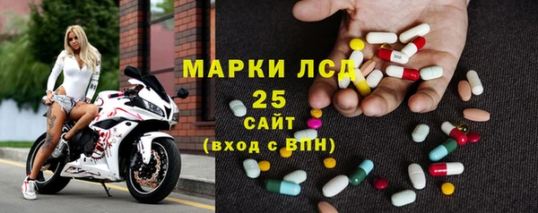 прущие грибы Бородино