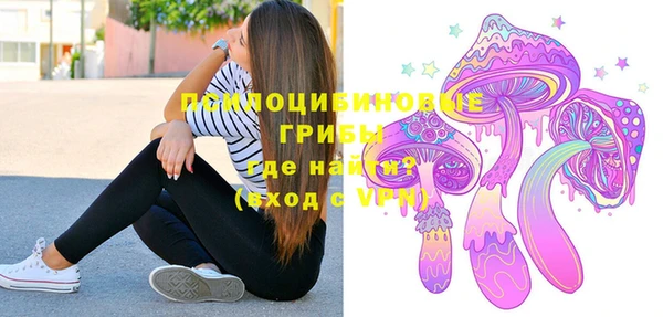 дурь Верея