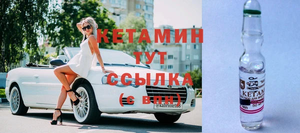 прущие грибы Бородино
