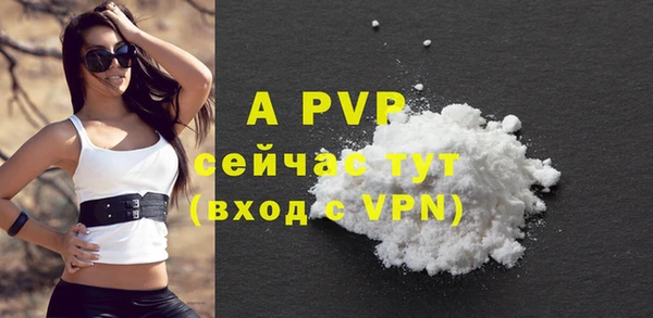 прущие грибы Бородино
