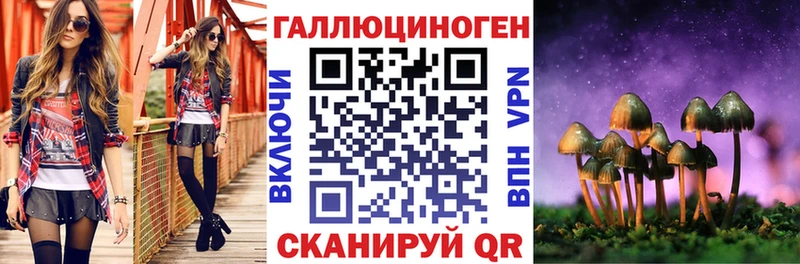 Купить  Новоалександровск  Галлюциногенные грибы Psilocybine cubensis 